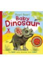 Sirett Dawn Roar! Roar! Baby Dinosaur pickering david the penguin book of baby names