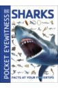 Sharks. Facts at Your Fingertips human body facts at your fingertips