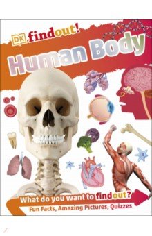 Human Body Dorling Kindersley