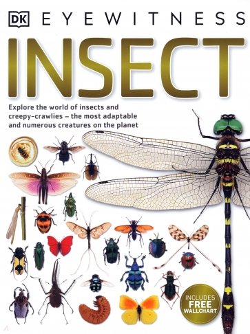 Insect. Explore the World of Insects and Creepy-crawlies