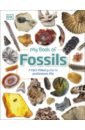 Lomax Dean R. My Book of Fossils. A fact-filled Guide to Prehistoric Life jumbo fossils dig kit 12 real fossils dinosaur poop shark teeth paleontology science toys for kids stem gift for boys