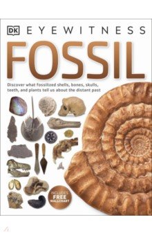 Fossil