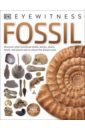 Taylor Paul D. Fossil bestard aina how life on earth began fossils dinosaurs the first humans