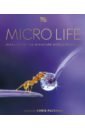 Micro Life. Miracles of the Miniature World Revealed packham chris chris packham s nature handbook explore the wonders of the natural world