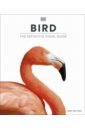 цена Bird. The Definitive Visual Guide