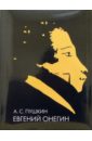 Пушкин Александр Сергеевич Евгений Онегин: Иллюстрированное энциклопедическое издание