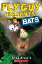 Arnold Tedd Bats arnold tedd super fly guy