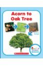 Herrington Lisa M. Acorn to Oak Tree волошина мария transformation book step by step шаг за шагом