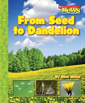 From Seed to Dandelion