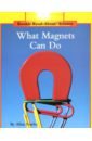 Fowler Allan What Magnets Can Do what s the point of science