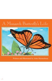 A Monarch Butterfly s Life