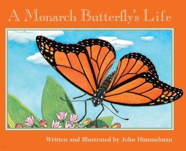 A Monarch Butterfly's Life