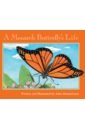Himmelman John A Monarch Butterfly's Life simulation animals growth cycle butterfly ladybug chicken life cycle figurine plastic models action figures educational kids toy