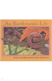 An Earthworm s Life