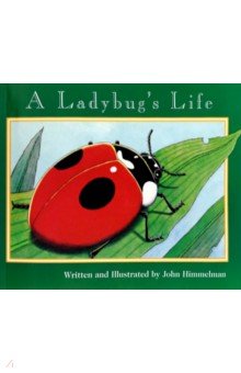 A Ladybug s Life