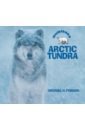 цена Forman Michael H. Arctic Tundra