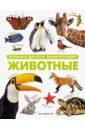 Животные. Большая детская энциклопедия большая детская энциклопедия животные