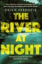 цена Ferencik Erica River at Night