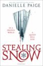 Paige Danielle Stealing Snow фигурка nendoroid fate grand order berserker mysterious heroine x alter 10 см
