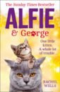 Wells Rachel Alfie and George wells rachel alfie the doorstep cat