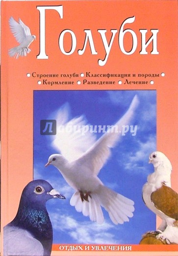 Голуби