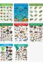 комплект плакатов живая природа 4019 Комплект из 8 обучающих плакатов Живая природа