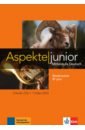 цена Koithan Ute, Sieber Tanja Aspekte junior. B1+. Medienpaket (3 Audio-CDs, DVD)