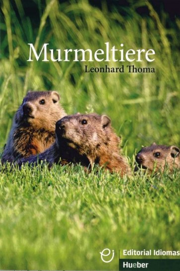 Murmeltiere. Deutsch als Fremdsprache