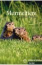 Murmeltiere. Deutsch als Fremdsprache