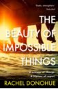 Donohue Rachel The Beauty of Impossible Things donohue rachel the temple house vanishing