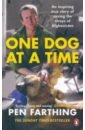 Farthing Pen One Dog at a Time. An inspiring true story of saving the strays of Afghanistan