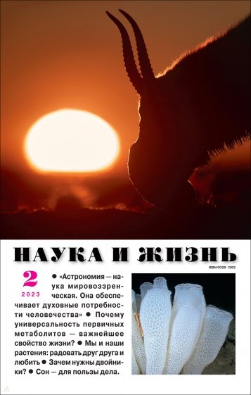 Наука и жизнь. 2023. № 2