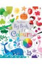 Brooks Felicity Big Book of Colours felicity brooks colours book