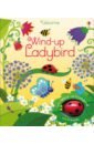Watt Fiona Ladybird walden libby campbell heather ladybird book insects and minibeasts