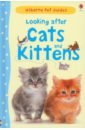 Starke Katherine Looking after Cats and Kittens weldon cat how to be a hero