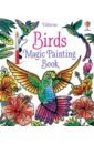 Baer Sam Birds. Magic Painting Book taplin sam jungle magic painting book
