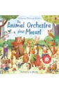 Taplin Sam The Animal Orchestra Plays Mozart children s book of music