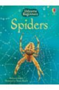 Gilpin Rebecca Spiders
