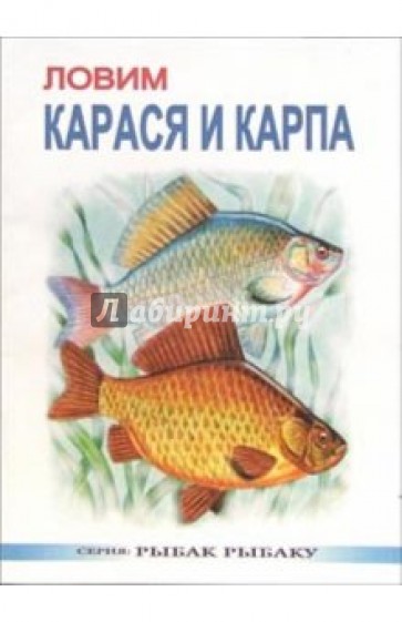 Ловим карася и карпа