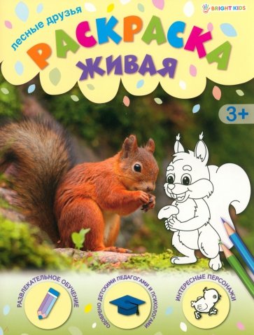 Раскраска живая Лесные друзья