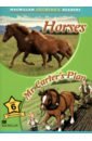 Powell Kerry Horses. Mr Carter's Plan. Level 6
