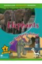 цена Kubuitsile Lauri Elephants. The Elephant’s Friend. Level 4