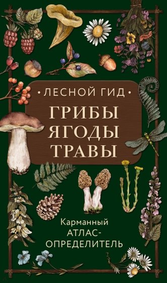 Лесной гид. Грибы, ягоды, травы. Карманный атлас-определитель