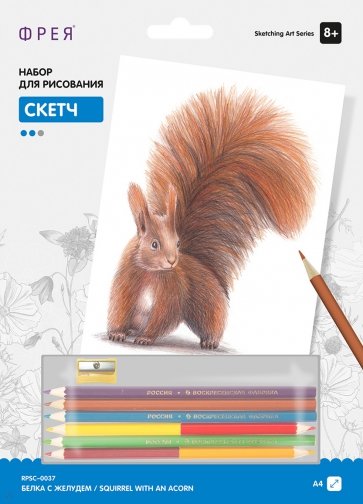 Скетч для раскрашивания цветными карандашами Белка с желудем