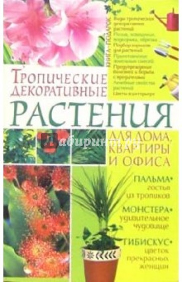 Тропические декоративные растения для дома, квартиры и офиса