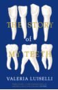 цена Luiselli Valeria The Story of My Teeth
