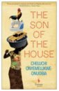 ricky burdett living in the endless city Onyemelukwe-Onuobia Cheluchi The Son of the House