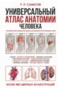 Универсальный атлас анатомии человека с цветными иллюстрациями. Учебное пособие