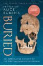 Roberts Alice Buried. An alternative history of the first millennium in Britain mcdowall david an illustrated history of britain