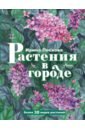 Растения в городе - Пескова И. М.